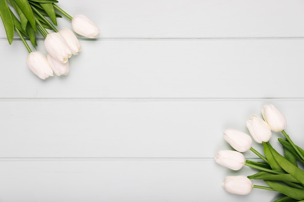 White tulips frame with copy-space