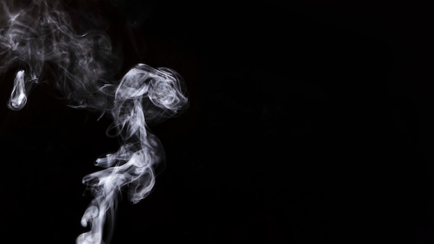 Free photo white twirling smoke on black background