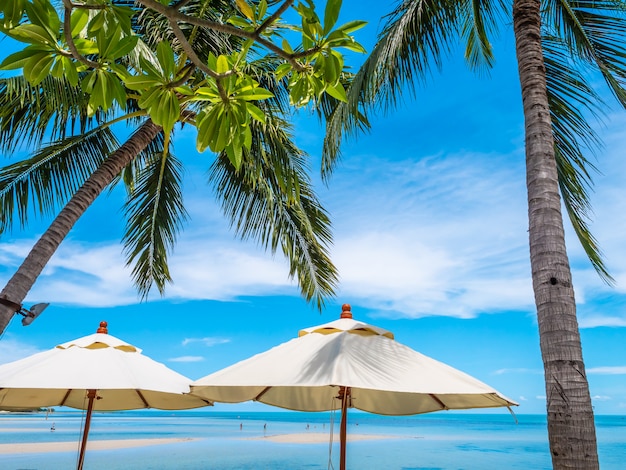 White umbrella with coconut palm tree with sea ocean