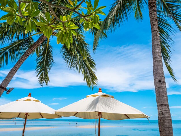 White umbrella with coconut palm tree with sea ocean