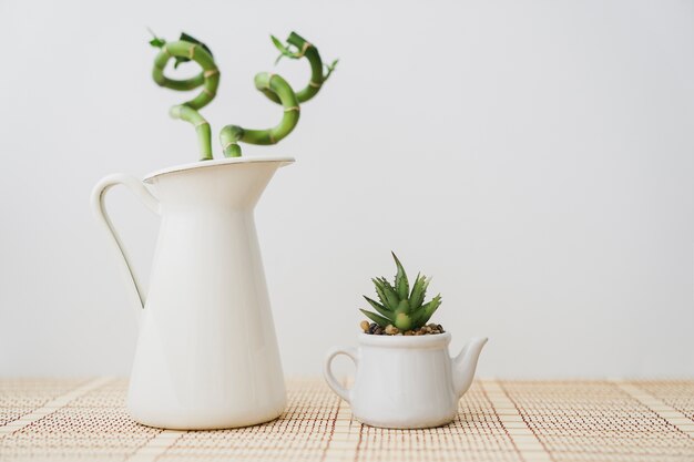 白い花瓶と竹と植木鉢