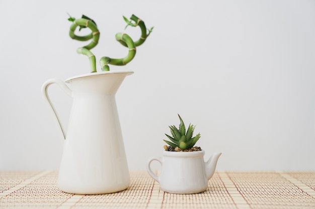 White vase with bamboo and flowerpot