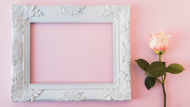 White vintage photo frame and fresh bloom