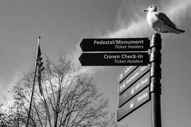 Foto gratuita bianco whitehall in marmo dell'edificio nord