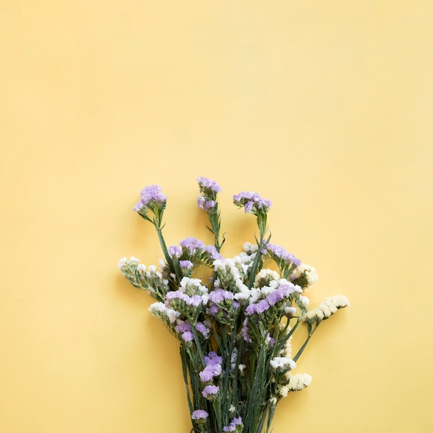 White wildflowers