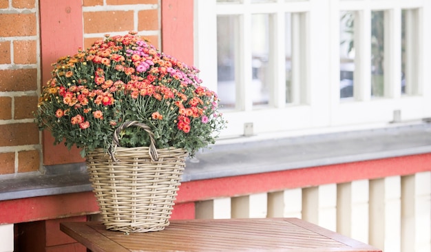 White window and flowers.