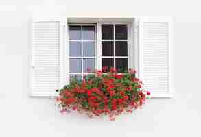 Free photo white window and flowers.