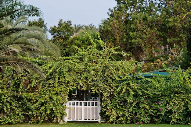 White wooden gates with trees at tropical park resort in Turkey