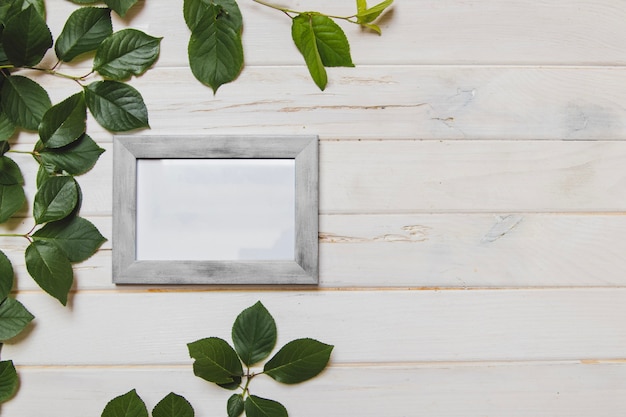 White wooden surface with frame and leaves