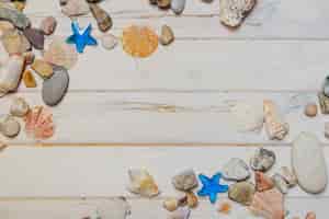 Free photo white wooden surface with seashells