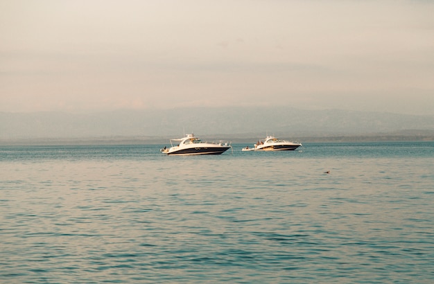 Free photo white yachts in sea