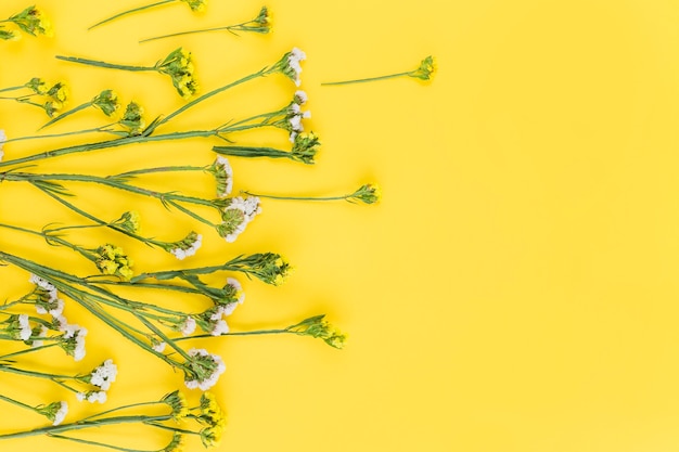 White and yellow decorated flowers on yellow background