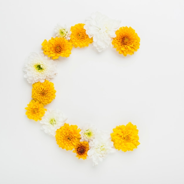 白と黄色の花は、白い背景にアーチ