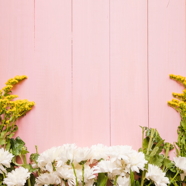 White and yellow flowers on pink