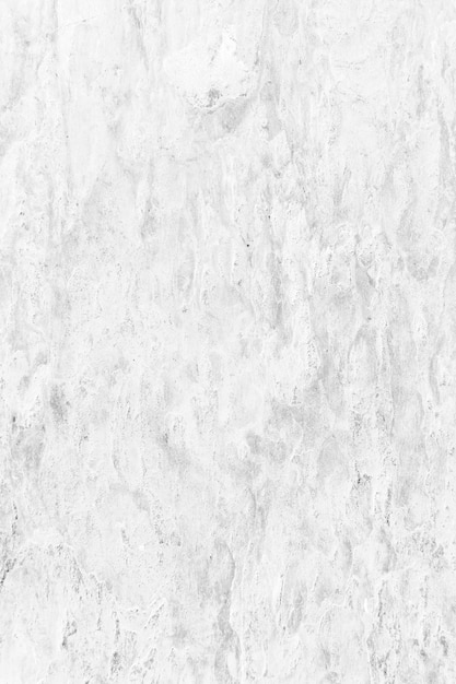 Free photo whitish rough plaster