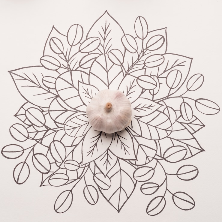Free Photo whole garlic over outline floral background