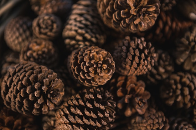 Wicker basket with pine cones close