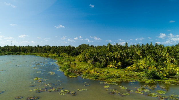 Foto gratuita ampia ripresa aerea di un lago su una delle isole delle maldive