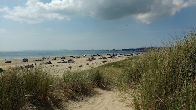 Wide angle shot of a beach with parked cars on a cloudy day