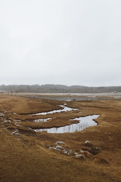 Wide angle shot of a dry landscape full of bodies of water under a cloudy sky