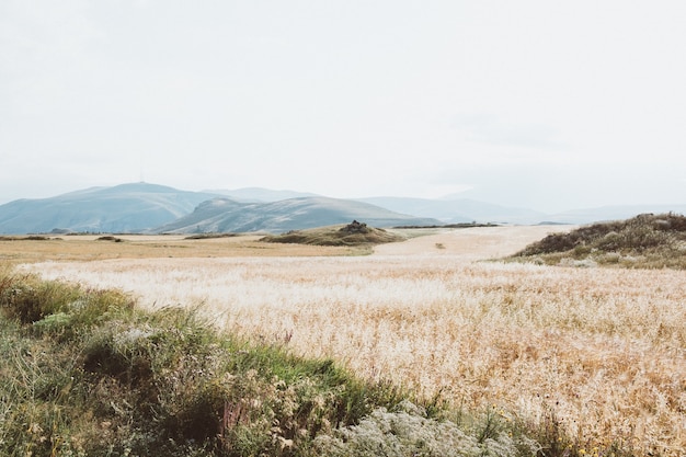 Wide angle shot of a dry landscape with mountains under a cloudy sky