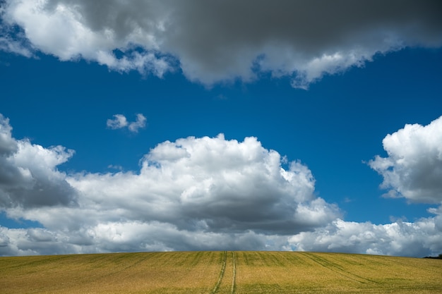 Широкоугольный снимок поля под небом, полным облаков