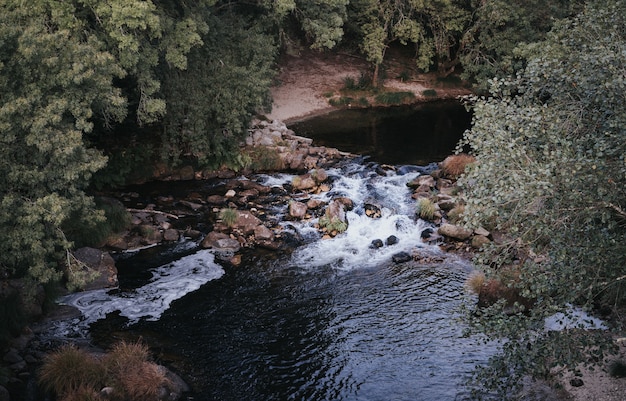 Wide angle shot of the flowing water surrounded by trees