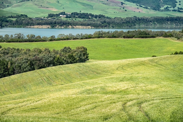 Wide angle shot of green fields in front of the water with trees and bushes growing on top