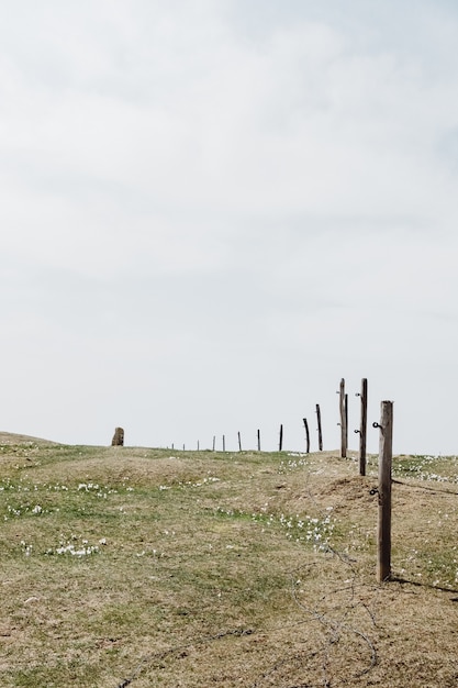 Wide angle shot of green grass under a cloudy sky surrounded by a wooden fence