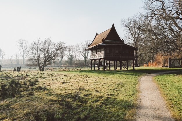 Wide angle shot of a house on a green landscape surrounded by several dry trees under a  cloudy sky