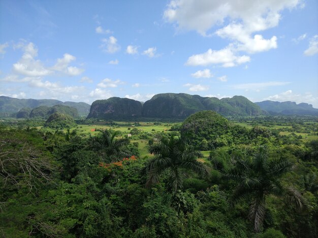 Wide angle shot of a large green landscape full of trees and grass