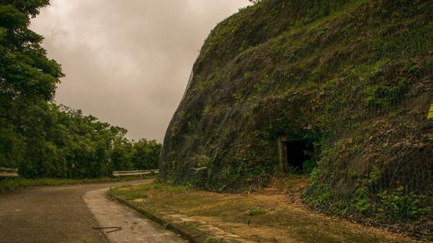 Wide angle shot of a mountain next to the trees under a clouded sky