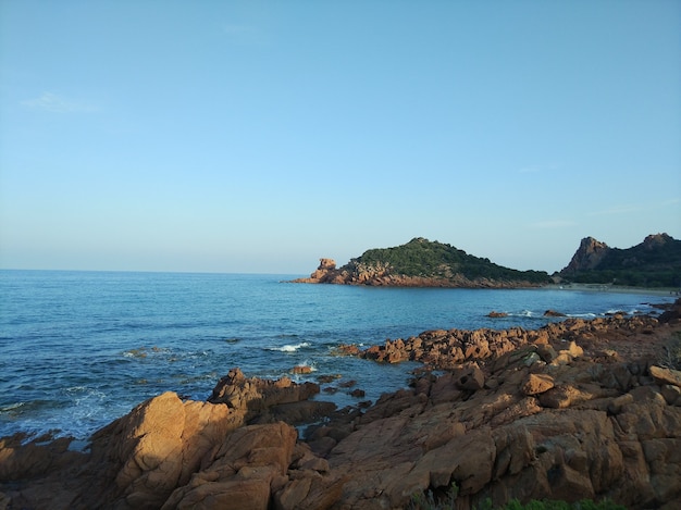 Free photo wide angle shot of the ocean surrounded by mountains and twigs growing on them