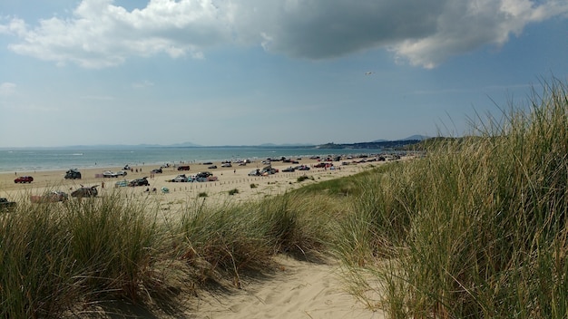 Бесплатное фото Широкоугольный снимок пляжа с припаркованными автомобилями в пасмурный день