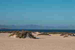 Бесплатное фото Широкоугольный снимок песчаного побережья со спокойной водой