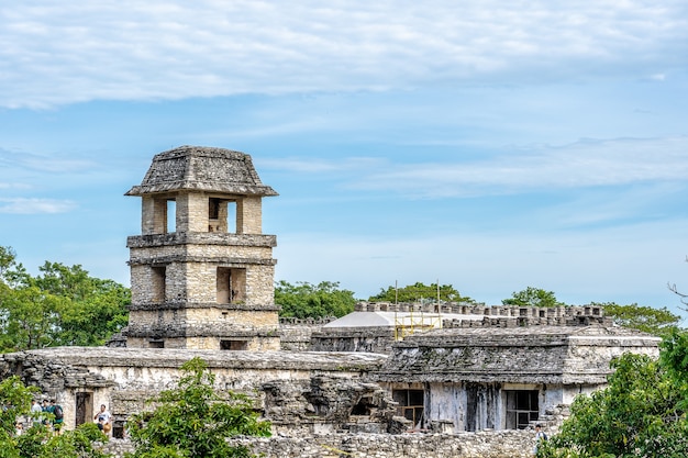 Wide angle shot of Palenque in Mexico surrounded by trees under a clear blue sky