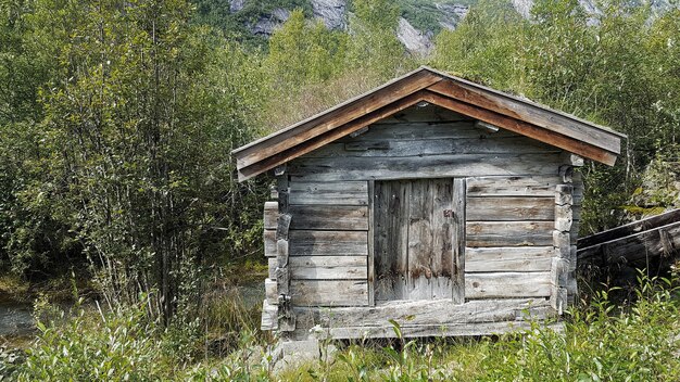 Wide angle shot of a small wooden house surrounded by trees