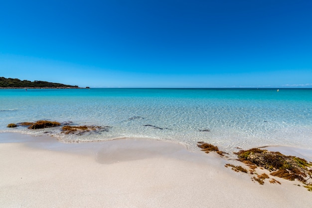 Wide angle shot of some rocks on the Green Bay beach in Western Australia under a blue sky