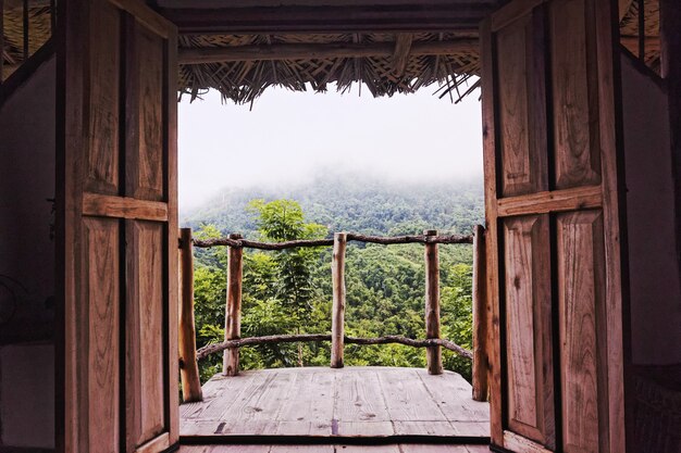 Wide angle shot of trees and nature seen from a building