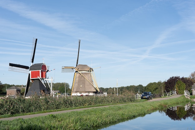 Wide angle shot of two windmills surrounded by trees and vegetation under a clear blue sky