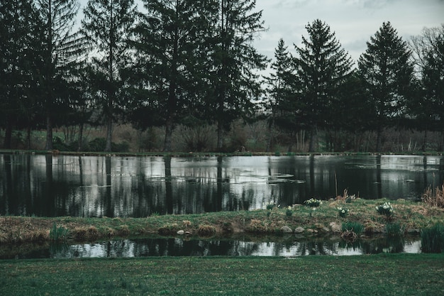 無料写真 木々に囲まれた湖の広く美しいショット