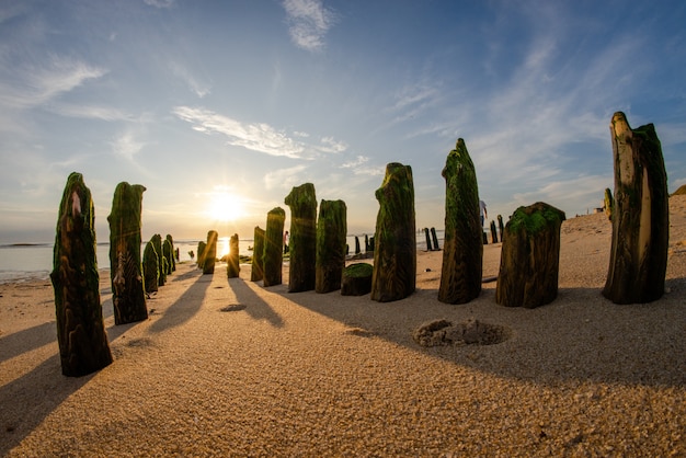 Free photo wide fisheye shot of vertical stones covered in green moss at a sandy beach on a sunny day