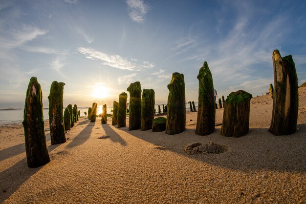 Wide fisheye shot of vertical stones covered in green moss at a sandy beach on a sunny day