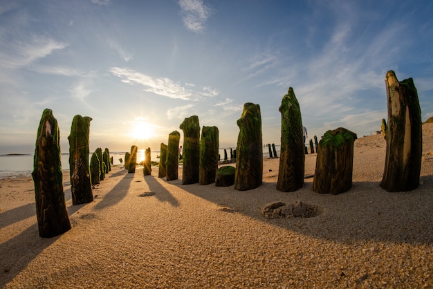 Wide fisheye shot of vertical stones covered in green moss at a sandy beach on a sunny day