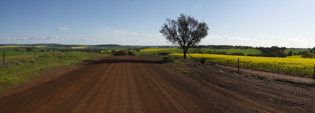 Wide of a gravel road by the beautiful fields captured on a sunny day
