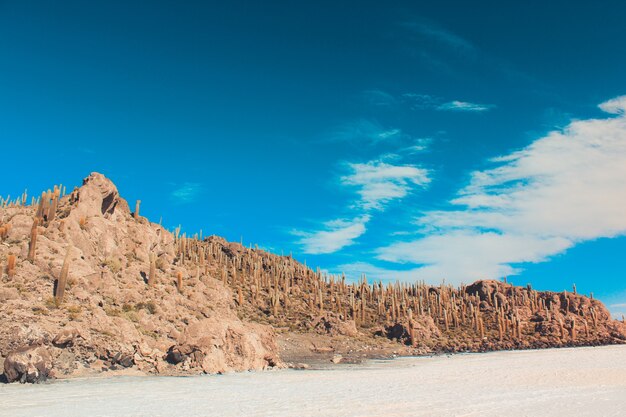 Wide shot of a cliff in the desert with a clear blue sky on a sunny day