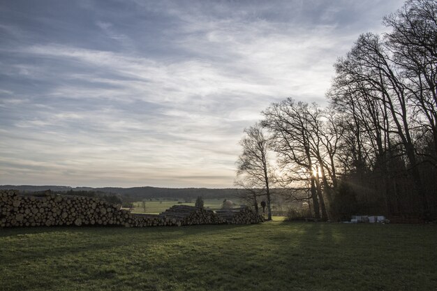 Wide shot of firewood stacks on a grass field surrounded by trees during sunset