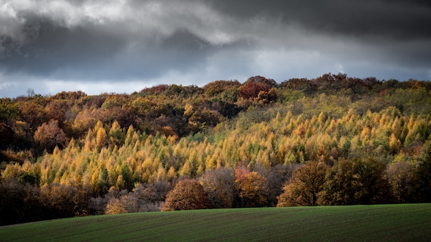 Foto gratuita panoramica delle colline boscose con un cielo nuvoloso nei precedenti