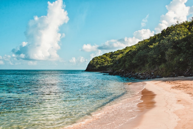 Foto gratuita panoramica di una scogliera verde vicino al mare sotto un chiaro cielo blu con nuvole