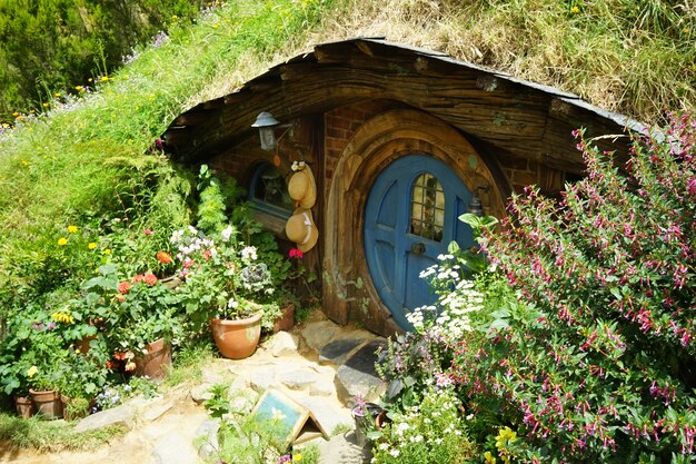 Wide shot of the Hobbiton movie set in Matamata New Zealand